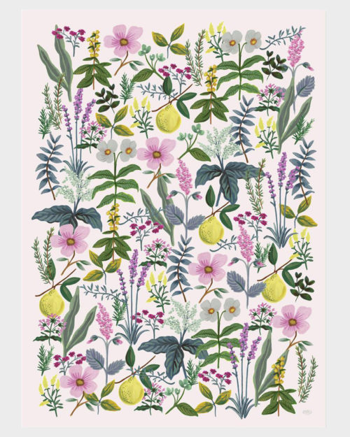 Rifle Paper co Herb Garden Wrapping paper sheets Lahjapaperi