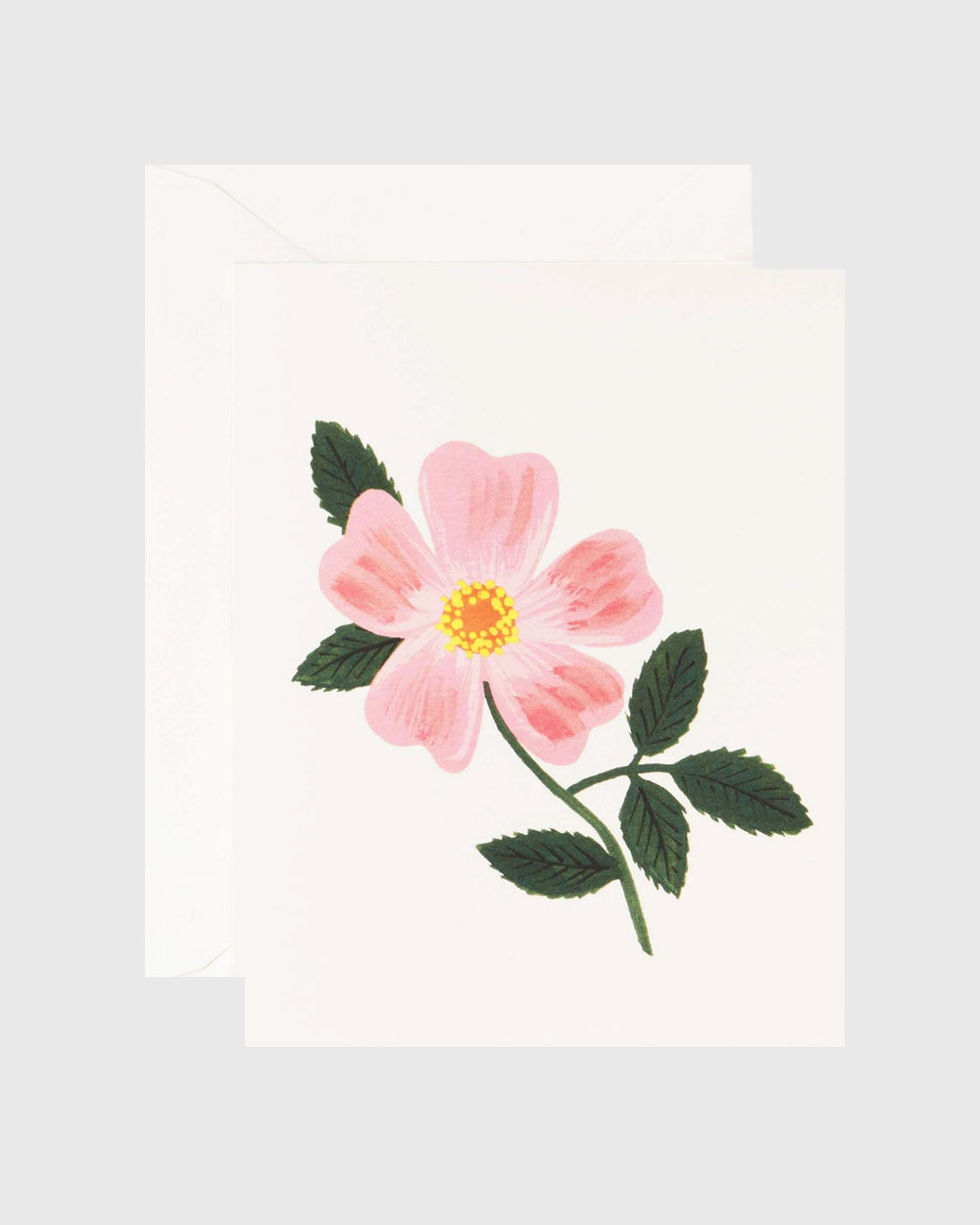 Wild Prairie Rose Kortti - Image 1