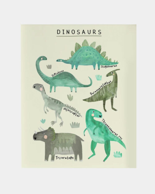 Dinosaur Types Juliste A4