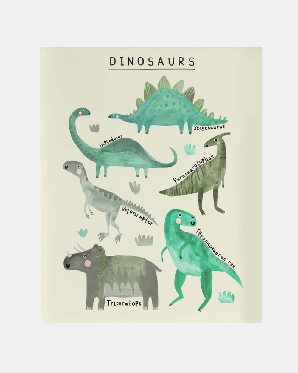 Dinosaur Types Juliste A4