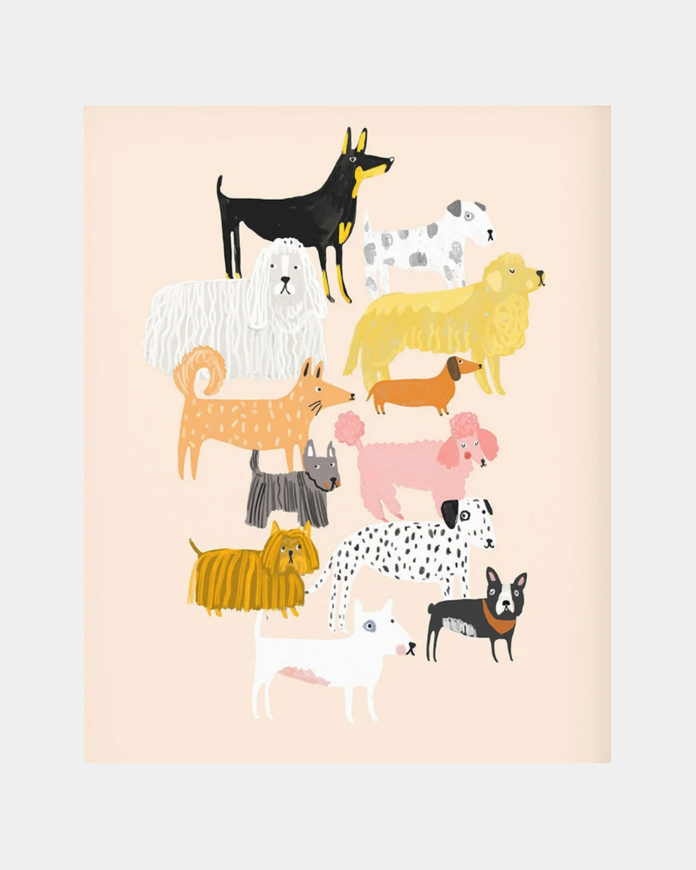 Dog Breeds Juliste A3