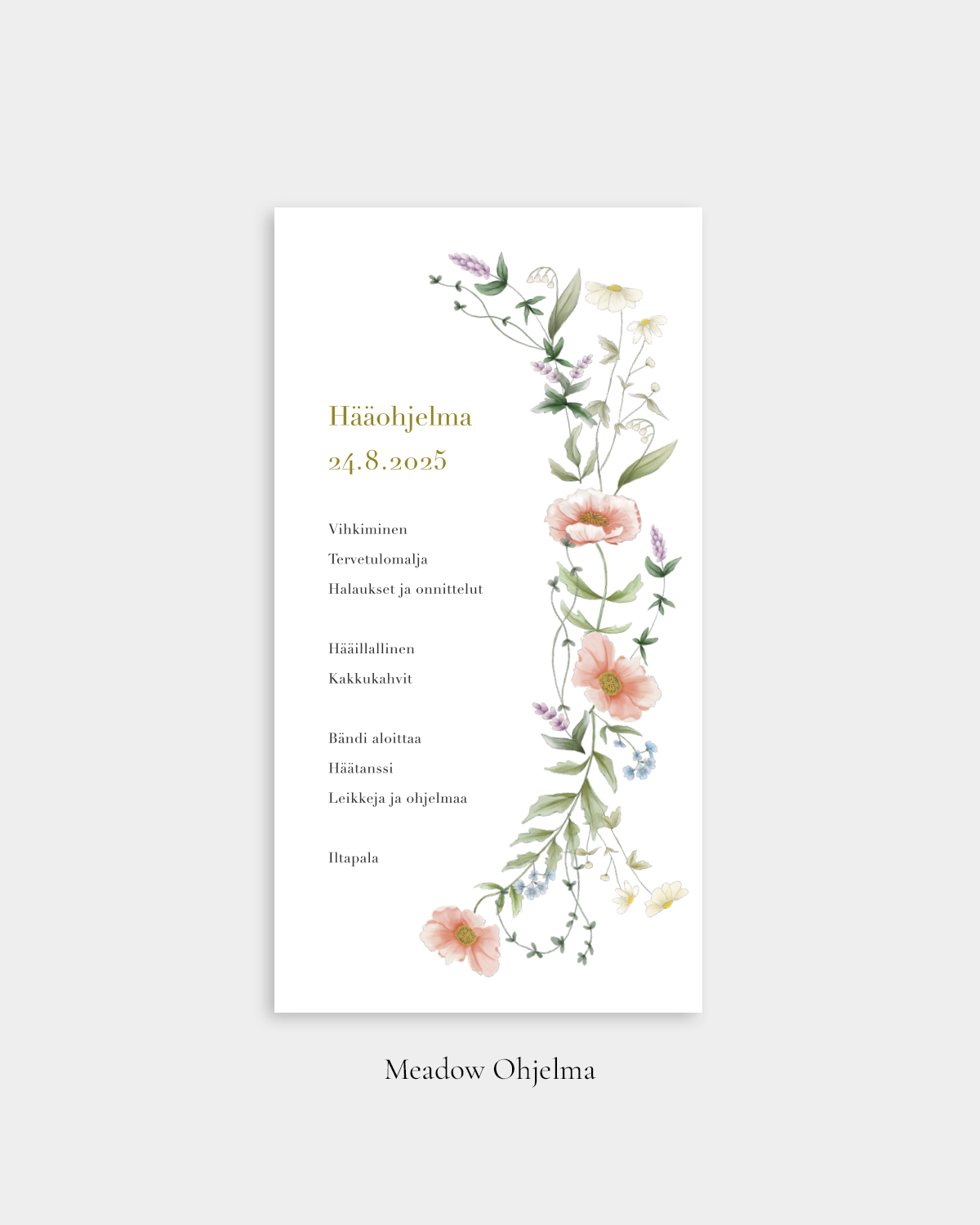 Meadow_ohjelma1 Meadow Ohjelma