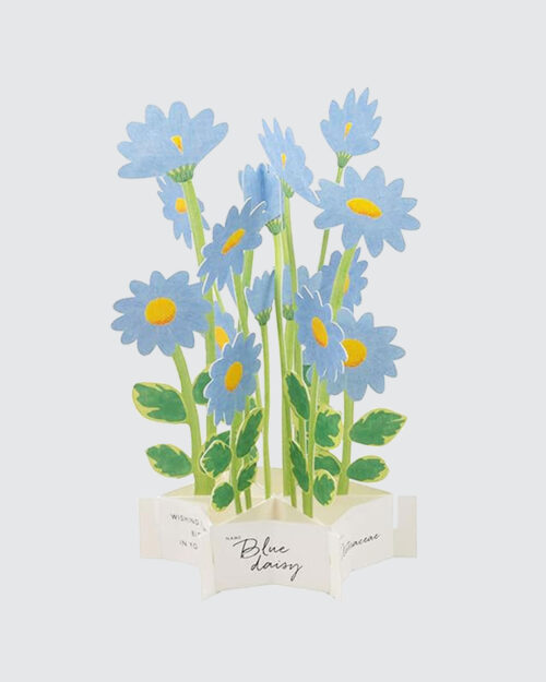 Blue Daisy Kortti