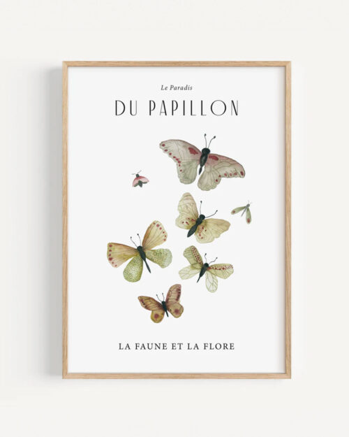 Les papillons Juliste A3