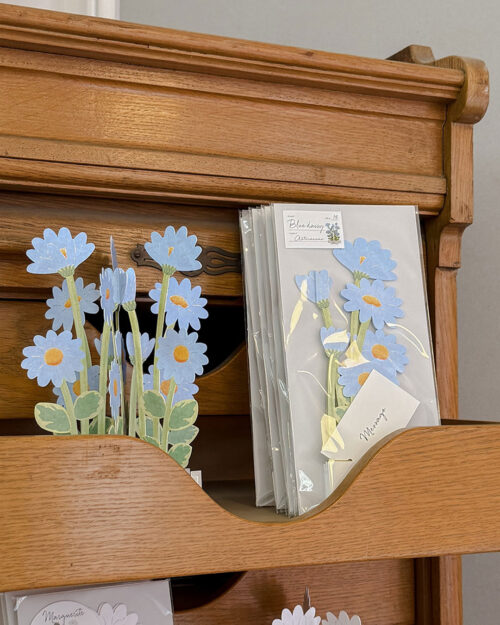 Alternative view of Blue Daisy Kortti