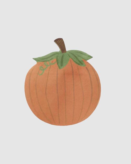 Alternative view of Pumpkin Muistilaput