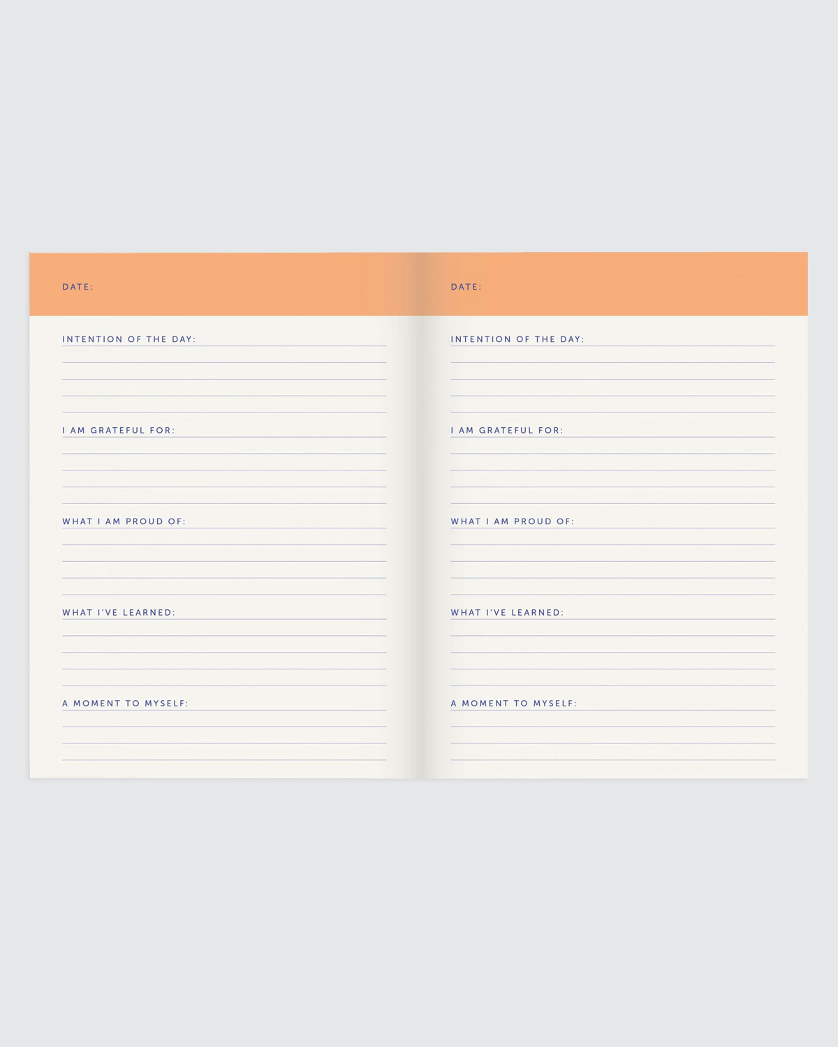 Daily_Journal_A-journal_2