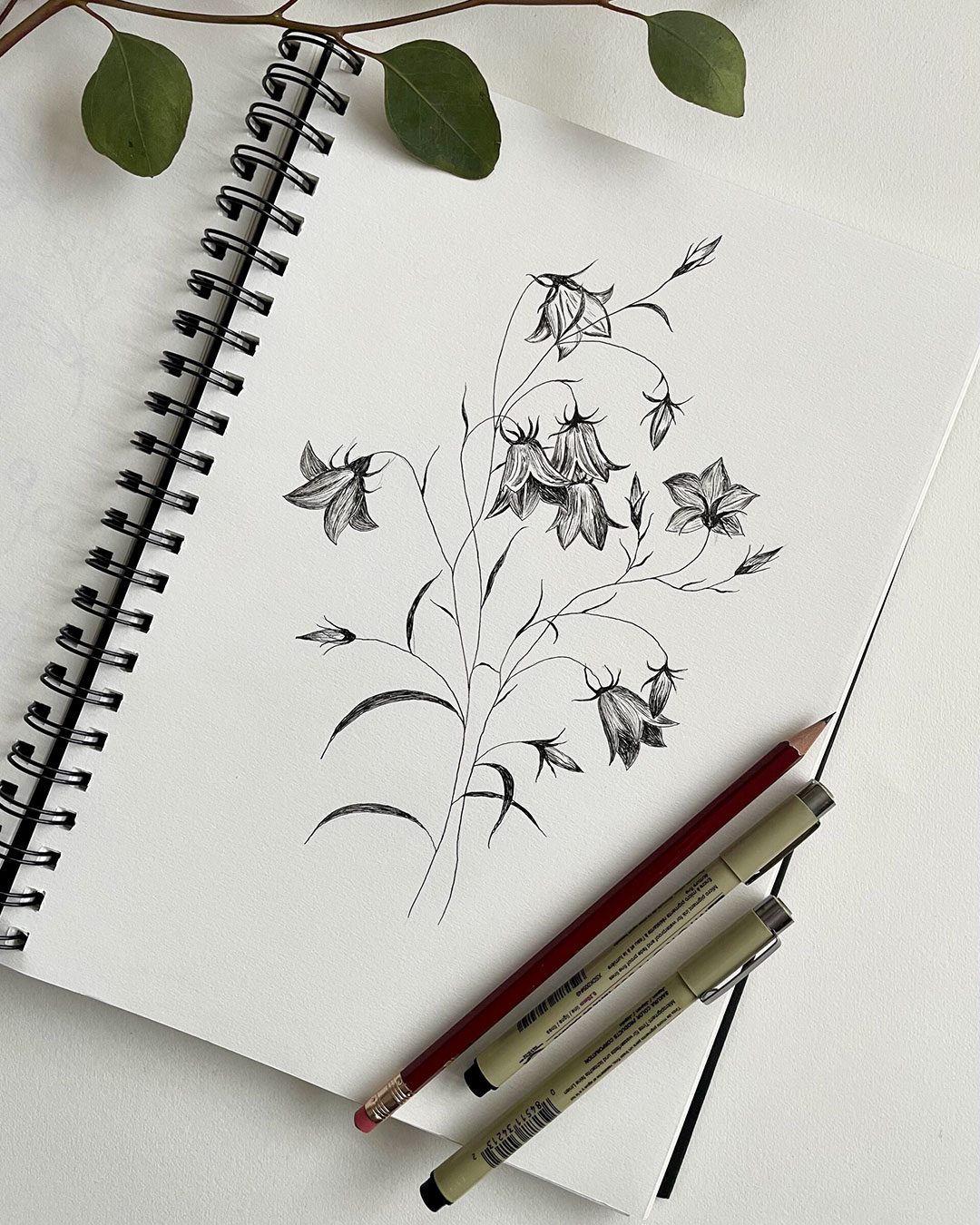 flower-sketches-2