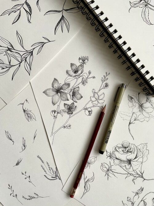Flower Sketches 5.3 klo 17-20