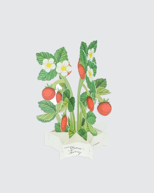 Strawberry Kortti, pieni