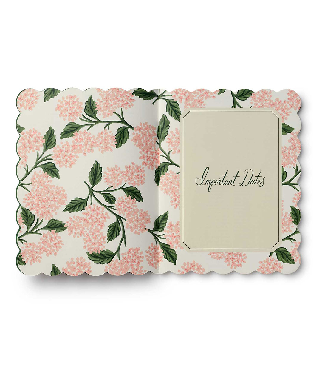 pink-hydrangea-3