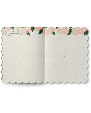 pink-hydrangea-4