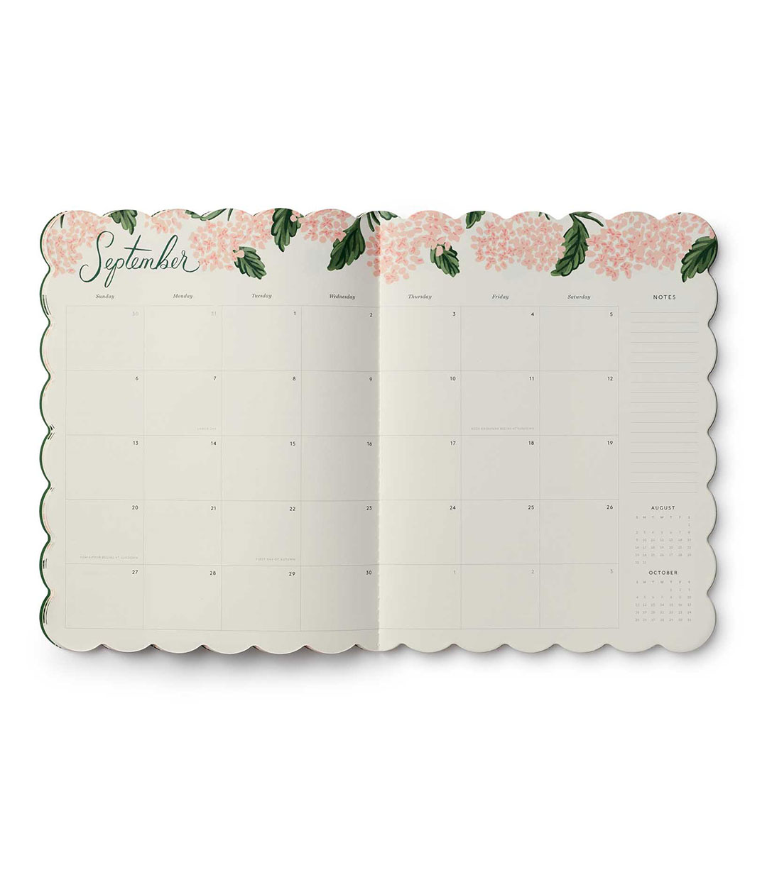 pink-hydrangea-4