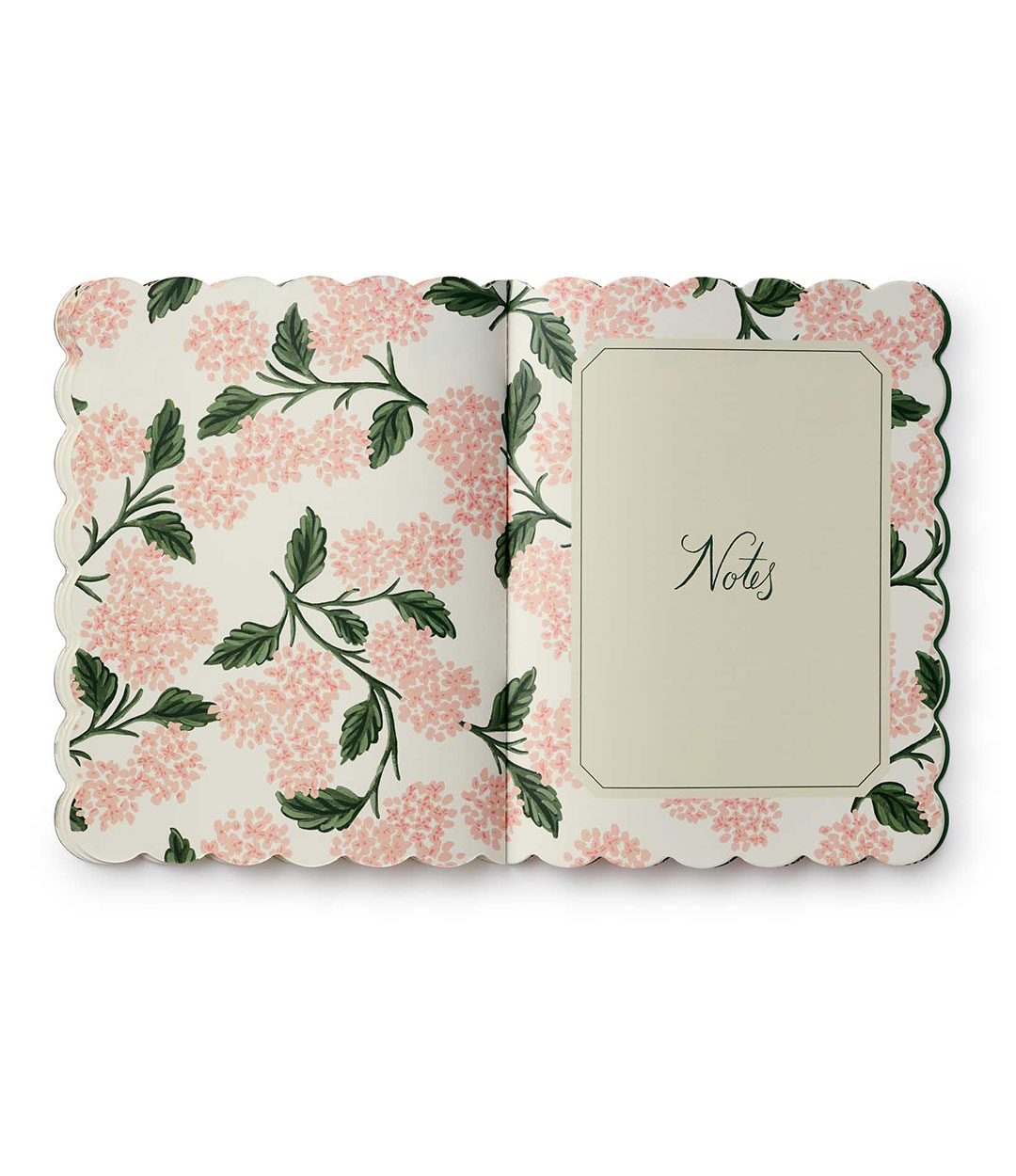 pink-hydrangea-5