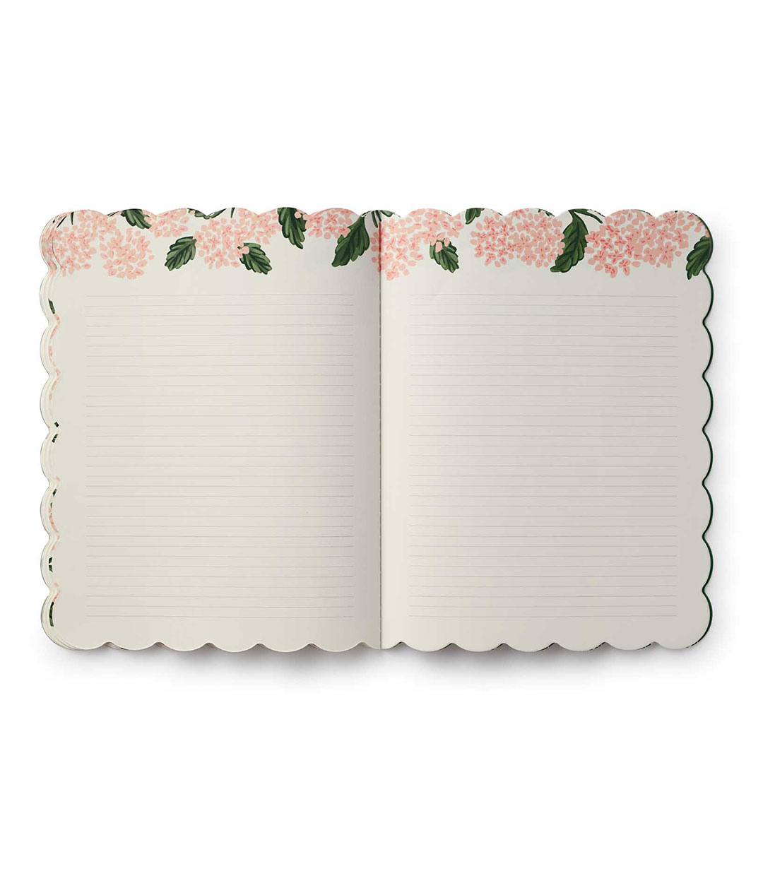 pink-hydrangea-6