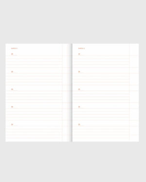 a-journal_one-line-a-day
